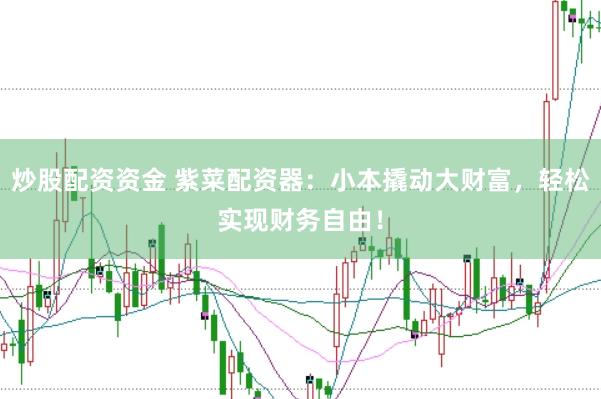 炒股配资资金 紫菜配资器：小本撬动大财富，轻松实现财务自由！