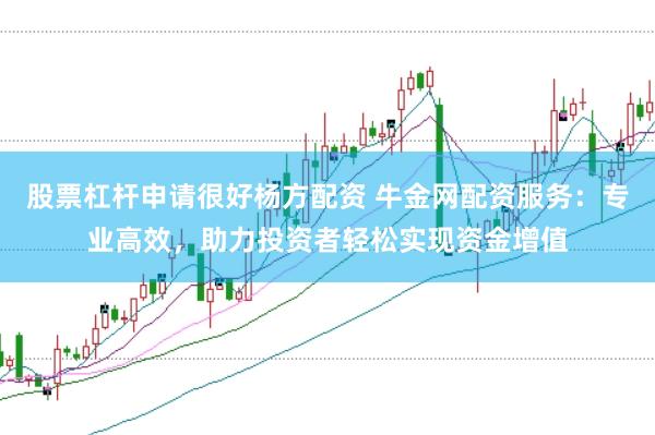 股票杠杆申请很好杨方配资 牛金网配资服务：专业高效，助力投资者轻松实现资金增值