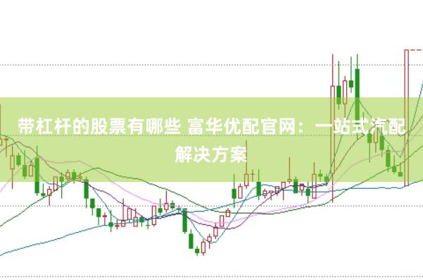 带杠杆的股票有哪些 富华优配官网：一站式汽配解决方案